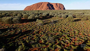 Catalyst Uluru - Open